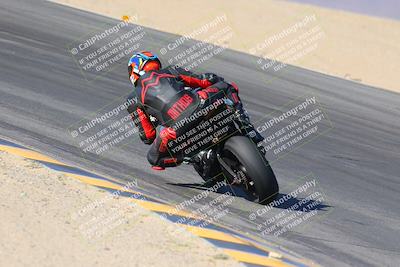 media/Nov-12-2023-SoCal Trackdays (Sun) [[5d1fba4e7d]]/Turn 10 Backside (115pm)/